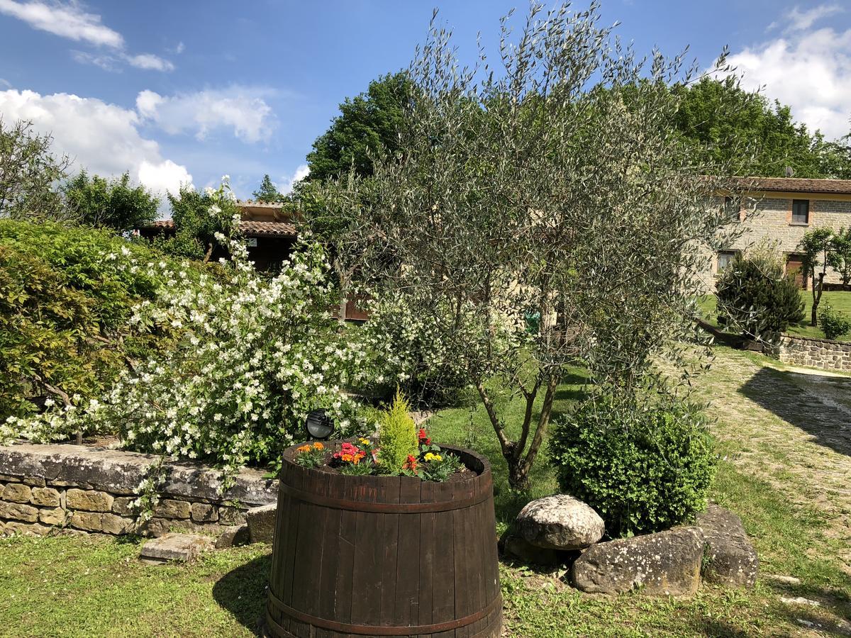 Agriturismo La Ferraia Pianello  Exterior photo