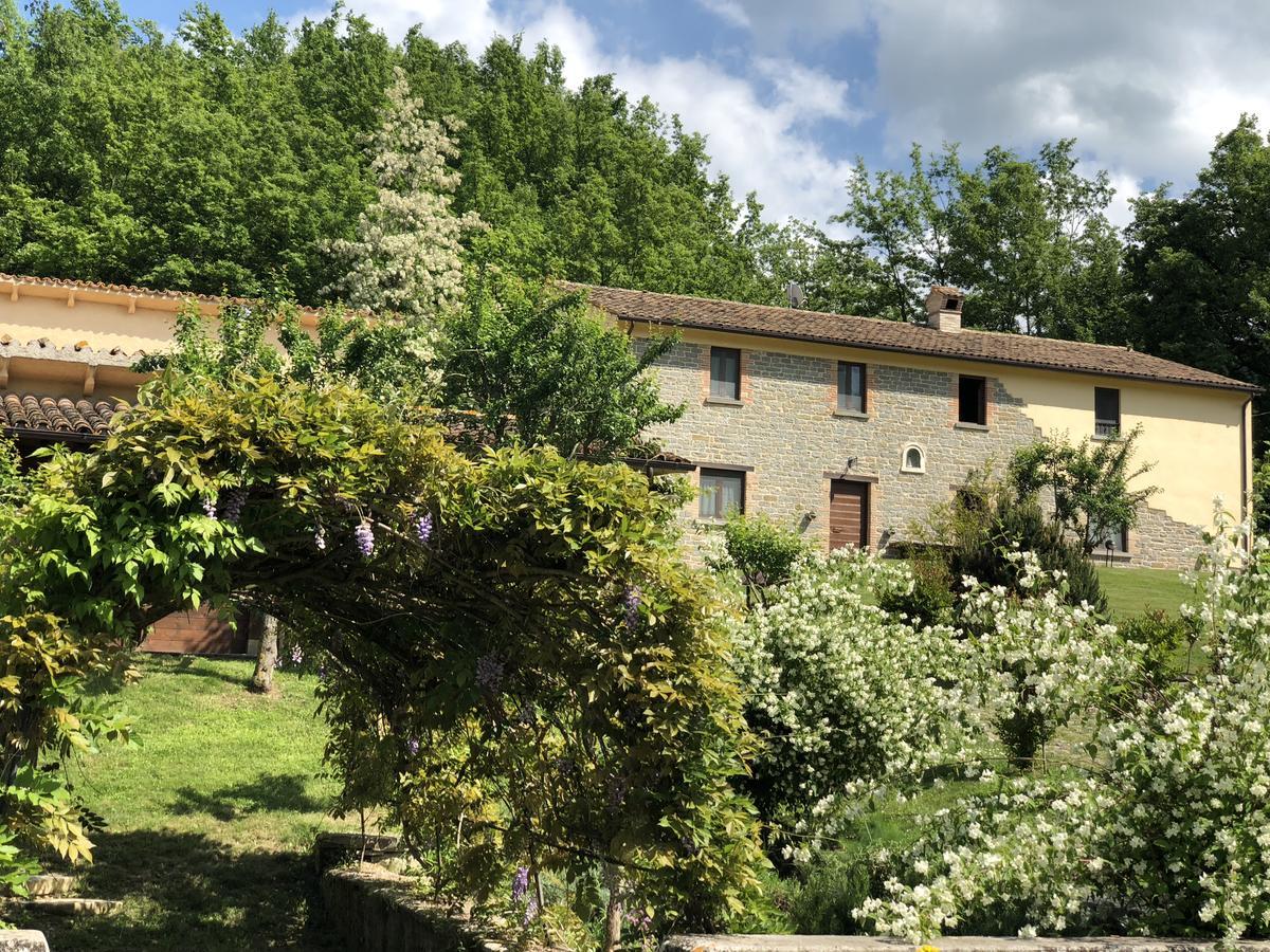 Agriturismo La Ferraia Pianello  Exterior photo