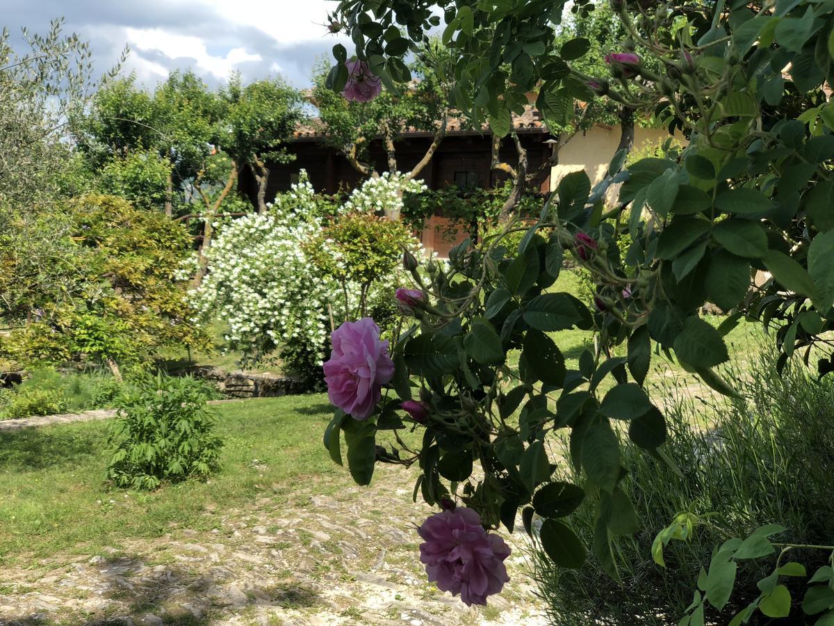 Agriturismo La Ferraia Pianello  Exterior photo